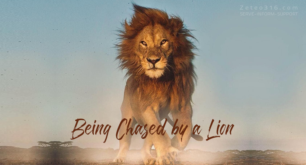 Being chased by a lion. I have never been chased by a lion (praise God). But in looking back I can see God's intervention in my life, especially when I needed correction.